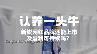 张小泉品牌复兴：85后创业者捡漏策略与实施